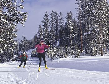 Lake Tahoe Cross-Country Skiing