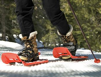 Lake Tahoe Snowshoeing