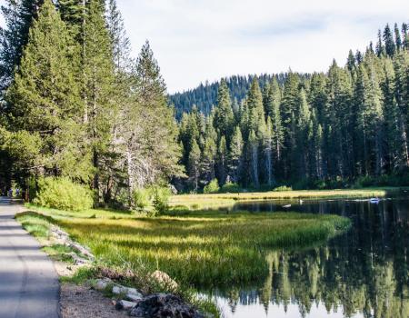 Tahoe things to do with kids - Bike path