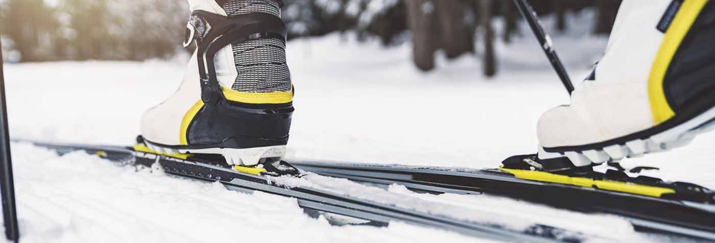 Nordic ski shoes and skis
