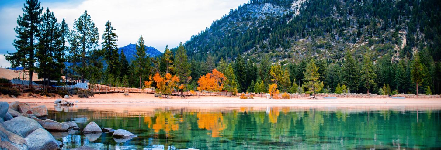 lake tahoe fall leaves changing