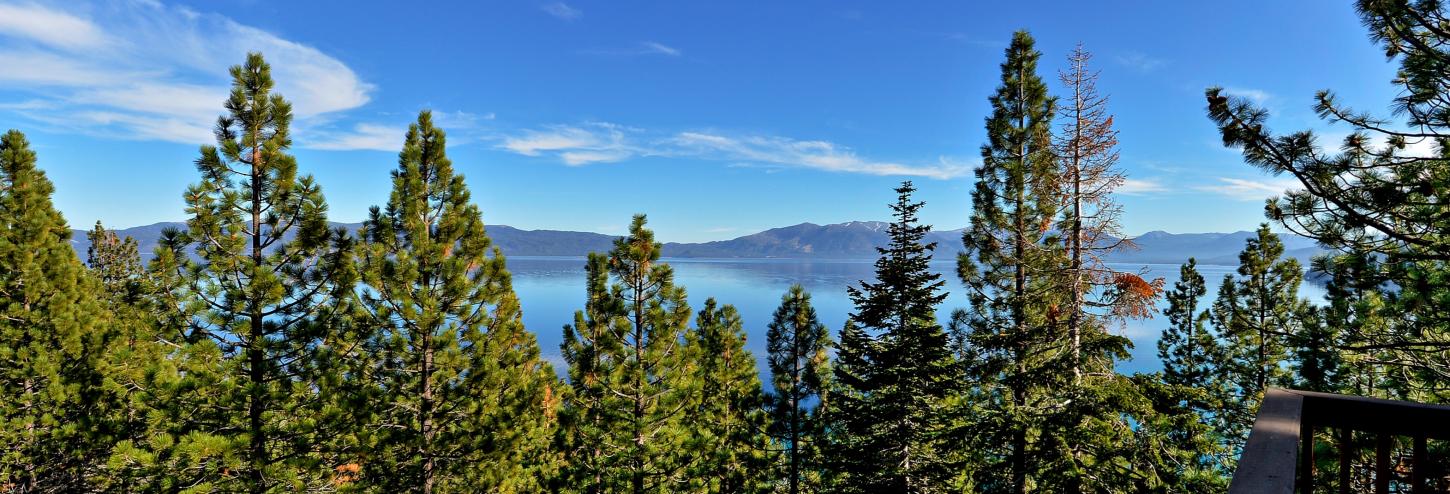 Lake Tahoe View