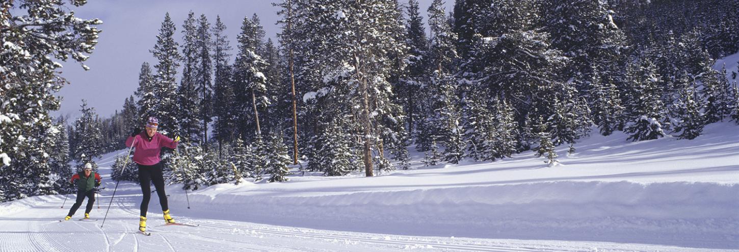 Lake Tahoe Cross-Country Skiing