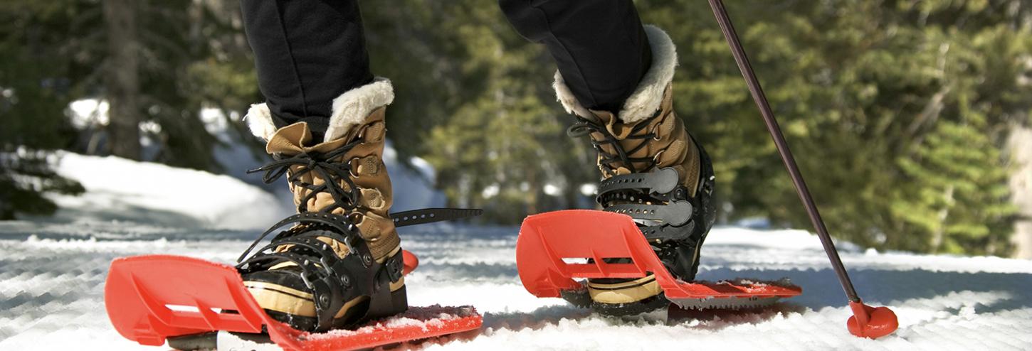 Lake Tahoe Snowshoeing