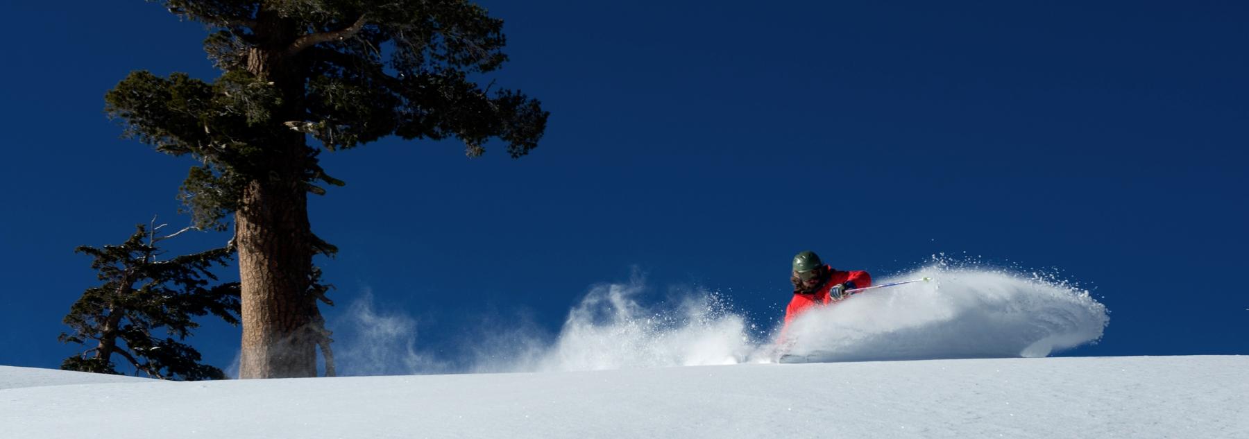 McKittrick - Downhill Ski 