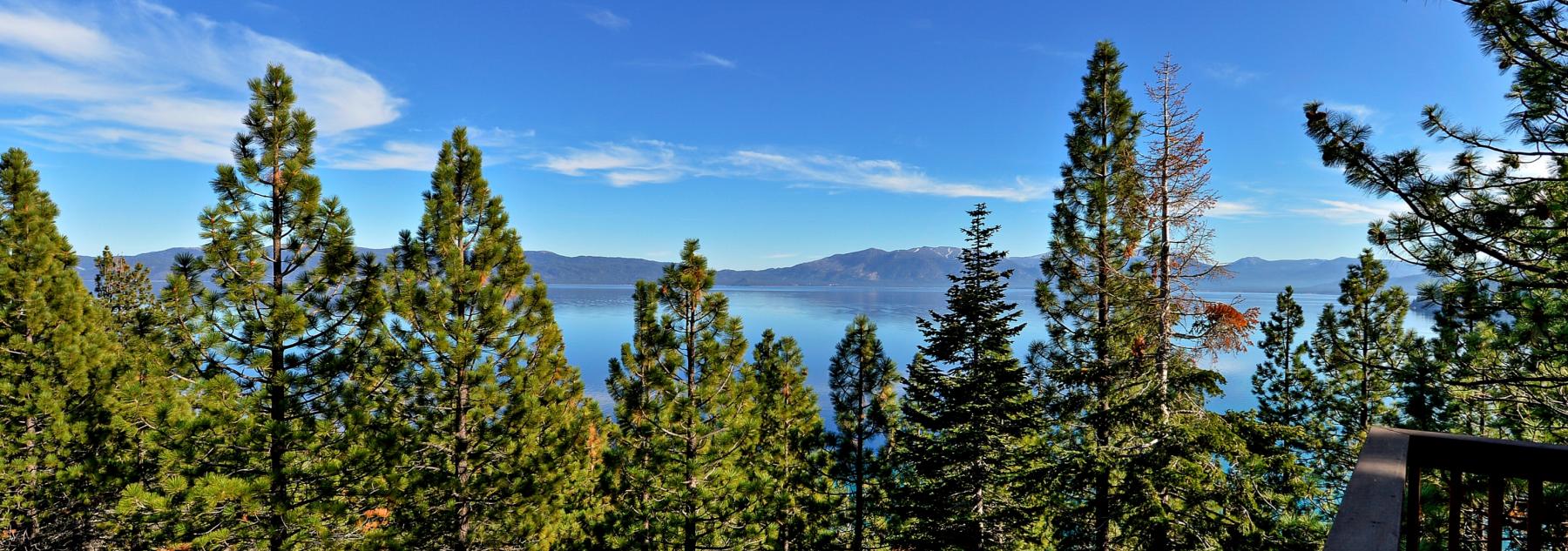 Lake Tahoe View