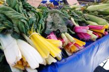 Fresh produce at a local farmers market