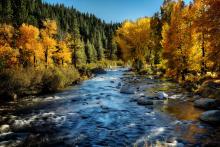 Truckee river lined with beautiful fall colors