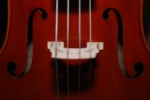 Close up image of a violin