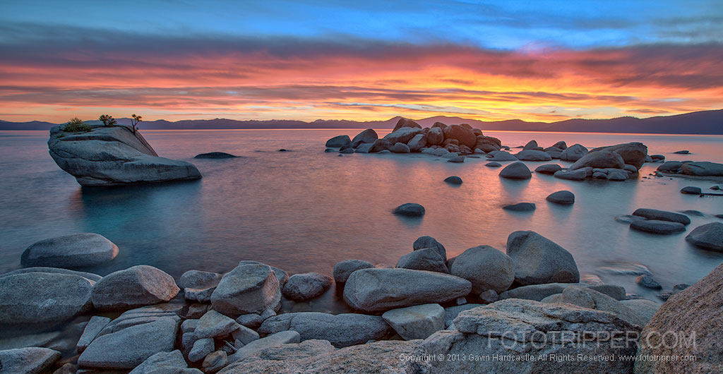 bonsai-rock