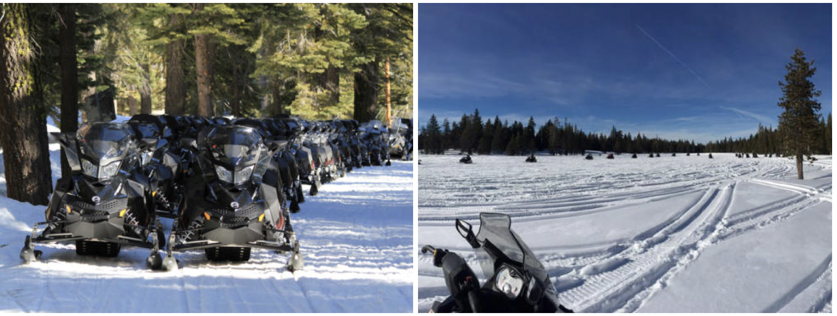 Snowmobile in Truckee - Winter Actvities