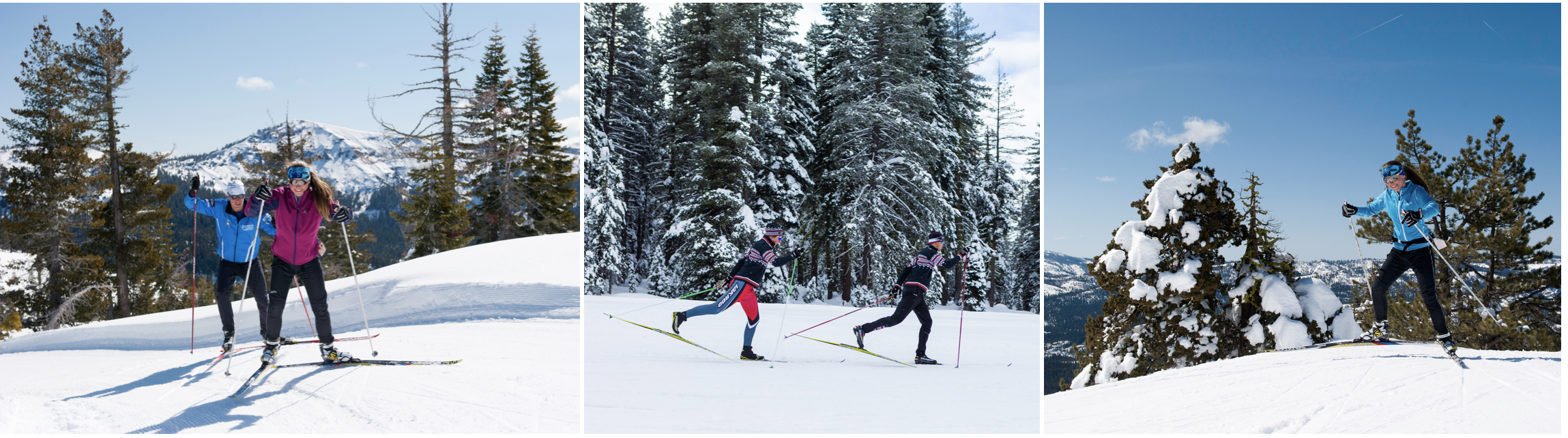 royal gorge nordic skiers