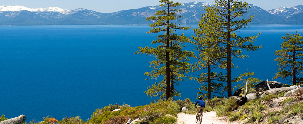 Lake Tahoe Mountain Biking - Biker